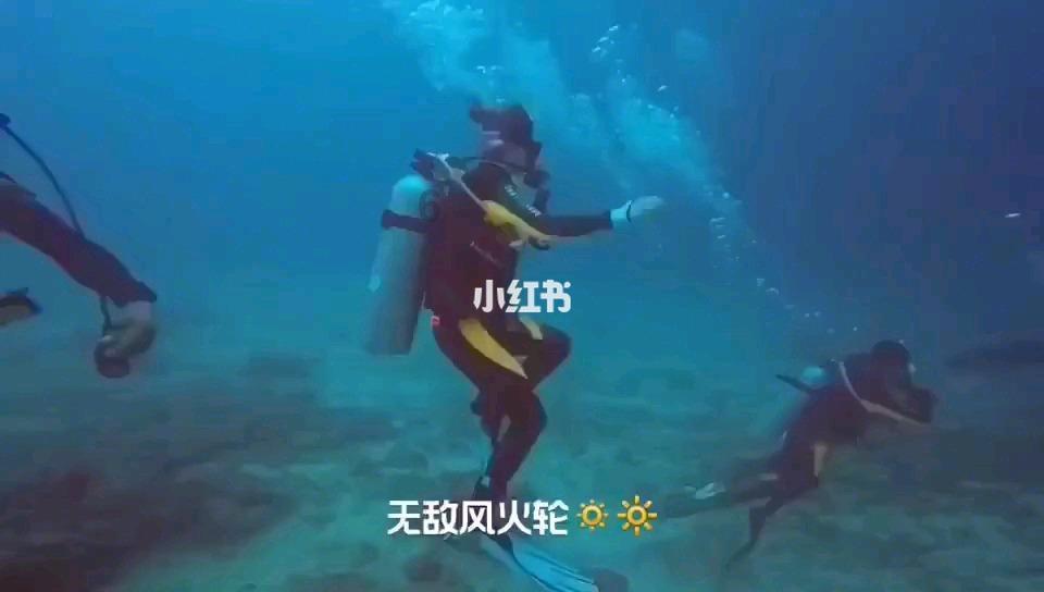 爱丽化妆教程
